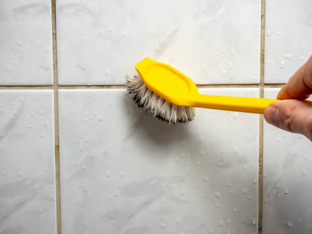 Trusted Reedsville, WI Mold Remediation Experts